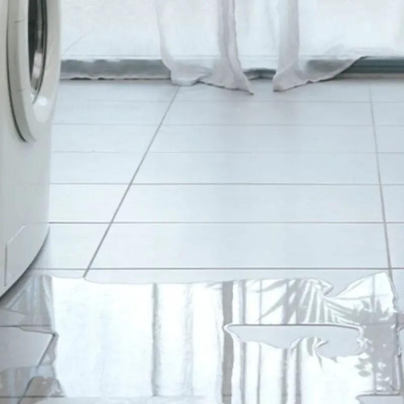 Appliance Leak Cleanup in Sumrall, MS