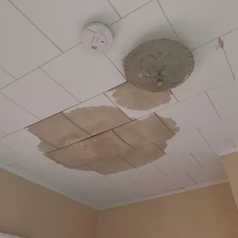 Ceiling Water Damage Repair in Sumrall, MS