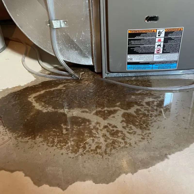 Pipe Burst and Leak Restoration in Sumrall, MS