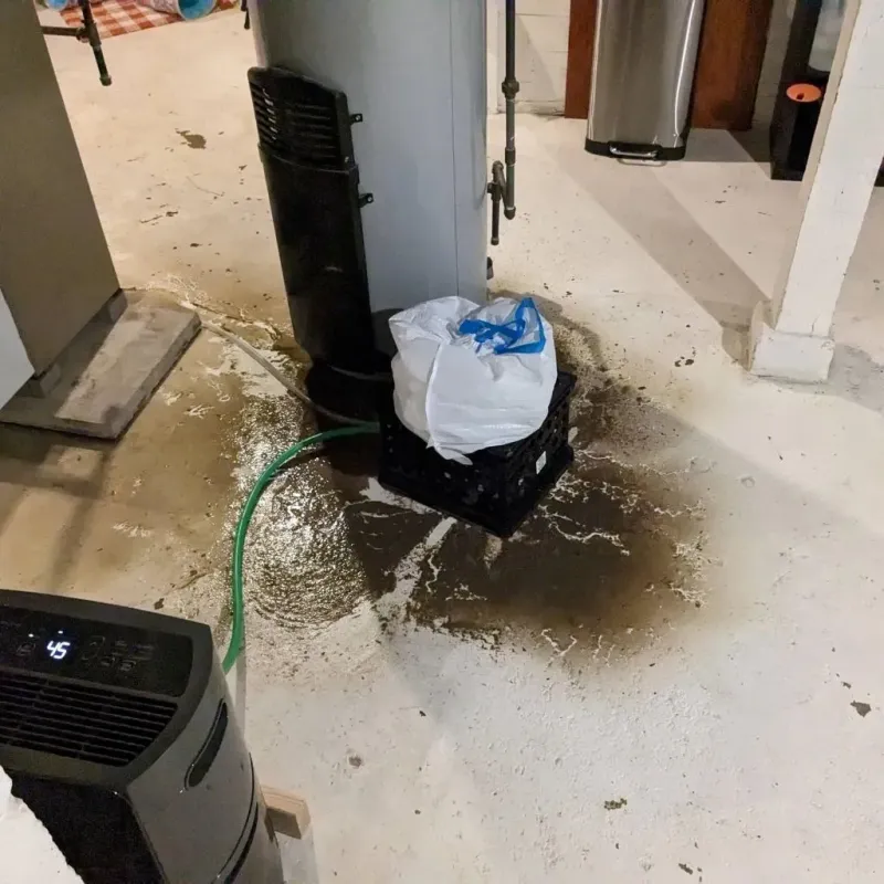 Sewage Backup Cleanup Service in Sumrall, MS